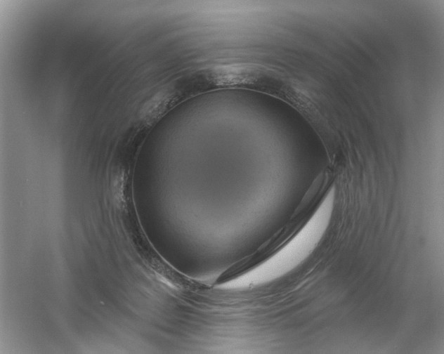 X0000061100219200512022107
