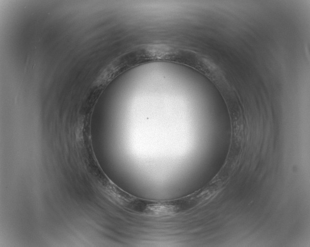 X0000061100221200512022107