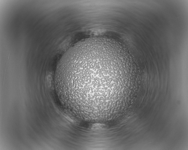 X0000061100222200512022107