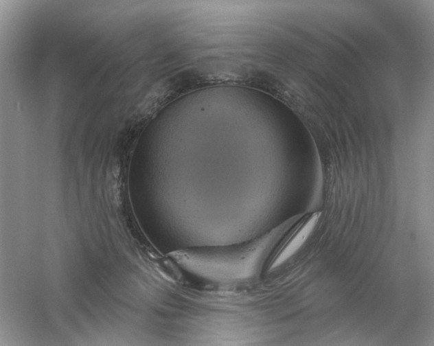 X0000061100223200512022107
