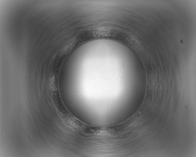 X0000061100224200512022107