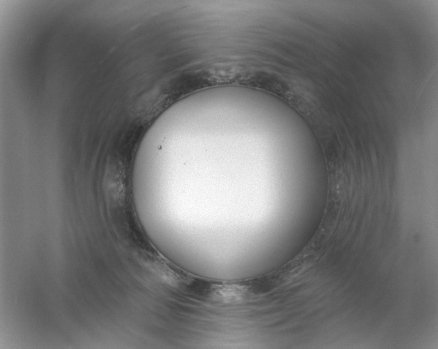X0000061100226200512022107