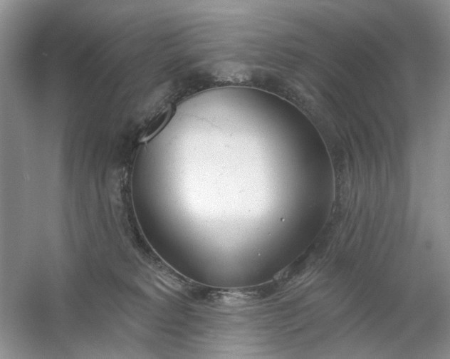 X0000061100229200512022107