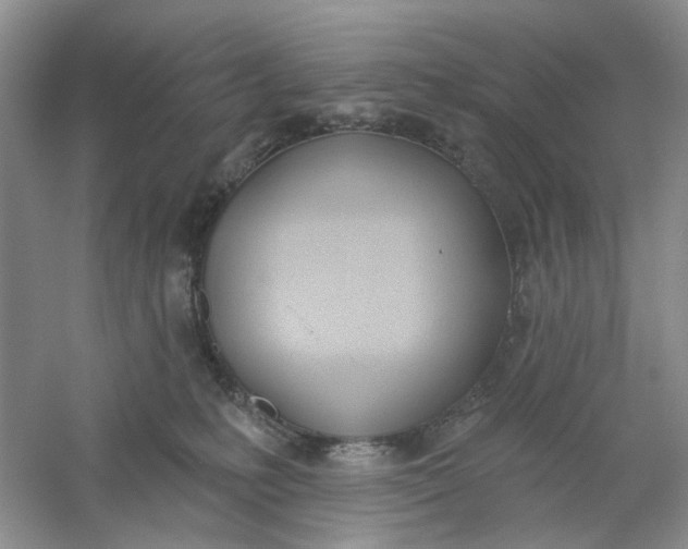 X0000061100231200512022107
