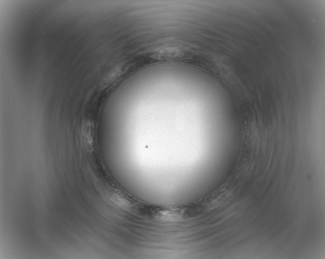 X0000061100232200512022107