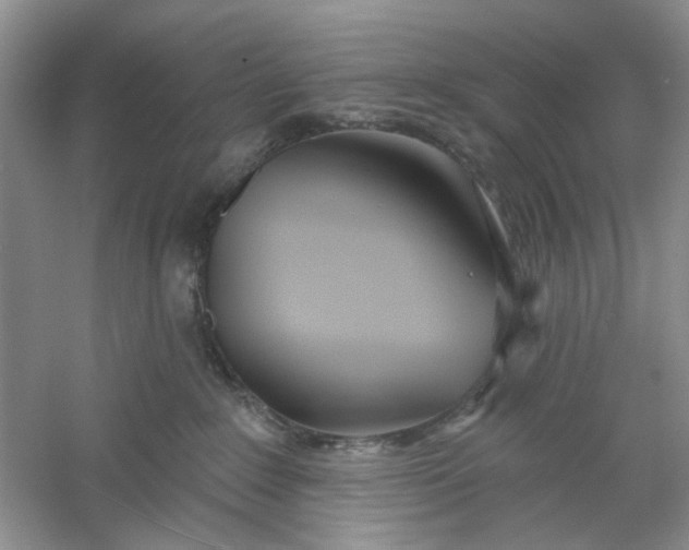 X0000061100235200512022107