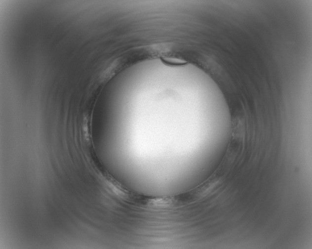 X0000061100238200512022107