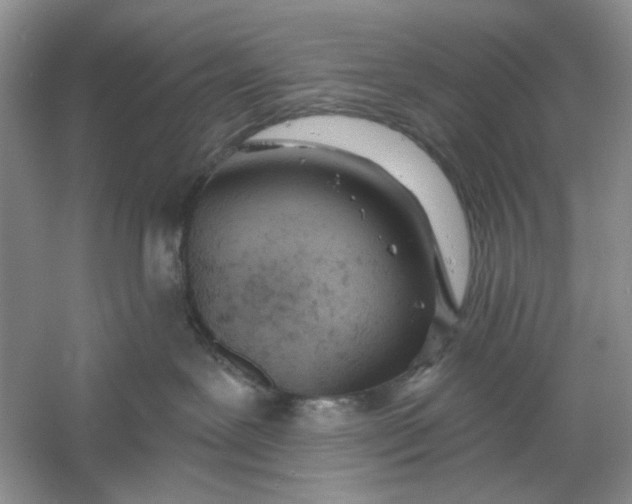 X0000061100239200512022107
