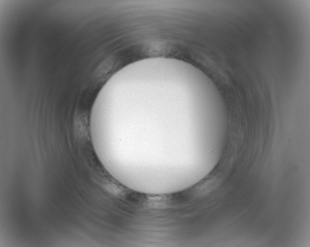 X0000061100240200512022107