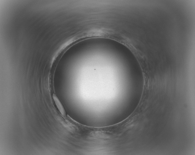 X0000061100244200512022106