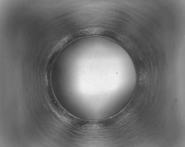 X0000061100254200512022106