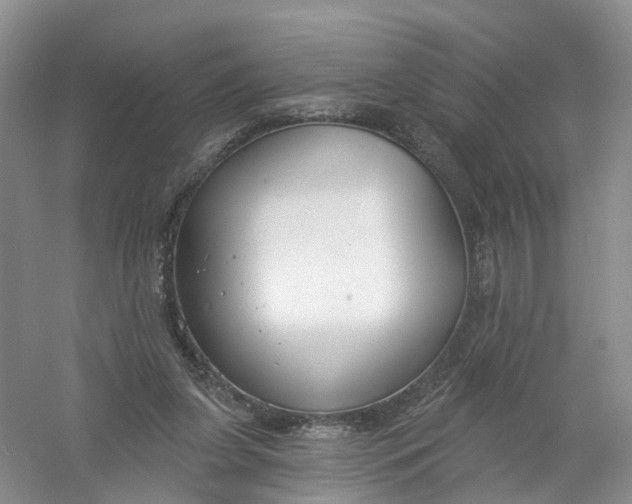 X0000061100255200512022106