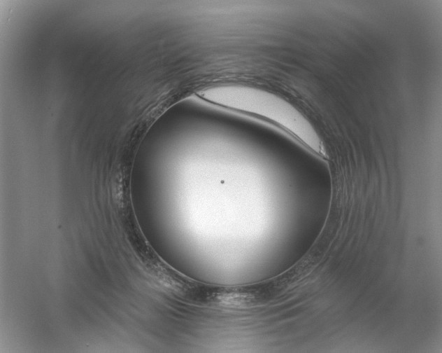 X0000061100268200512022107