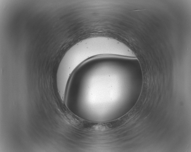X0000061100272200512022107