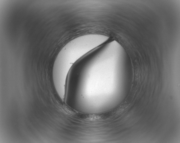 X0000061100278200512022107