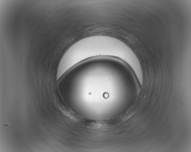 X0000061100284200512022107