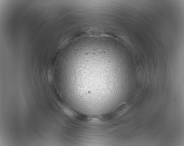 X0000061100285200512022107
