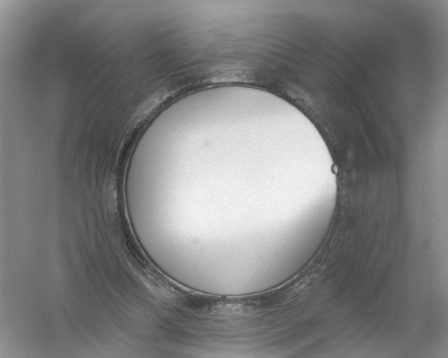 X0000061100298200512022106