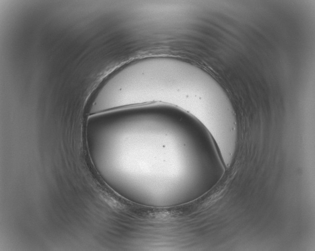 X0000061100301200512022106