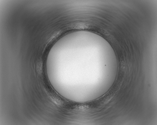 X0000061100304200512022106