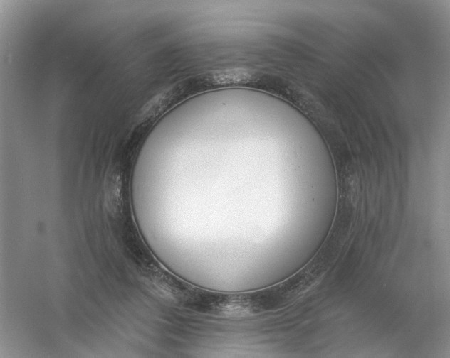 X0000061100308200512022106
