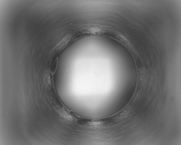 X0000061100313200512022106