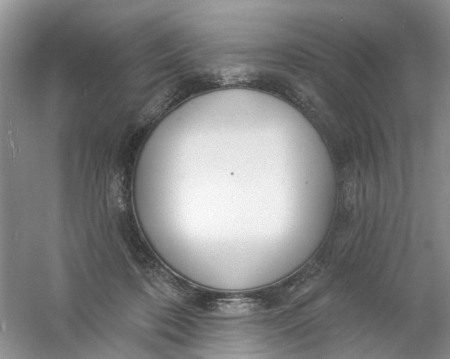 X0000061100316200512022106