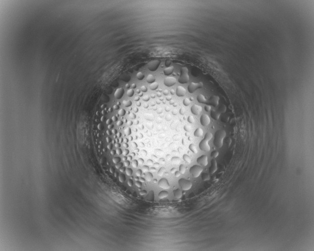X0000061100322200512022106