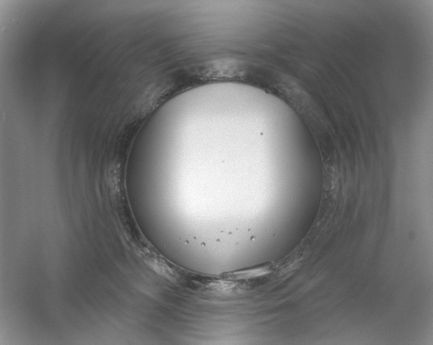 X0000061100326200512022105