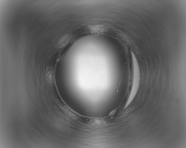 X0000061100329200512022105