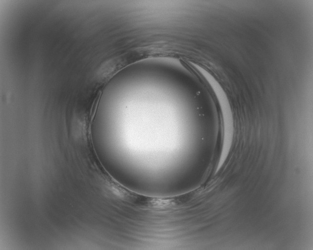 X0000061100333200512022105