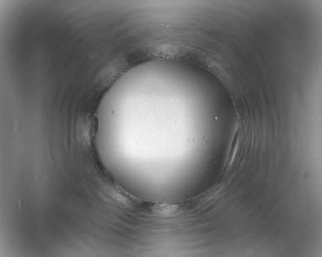 X0000061100334200512022105