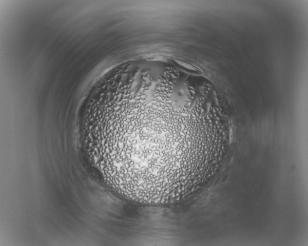 X0000061100339200512022104