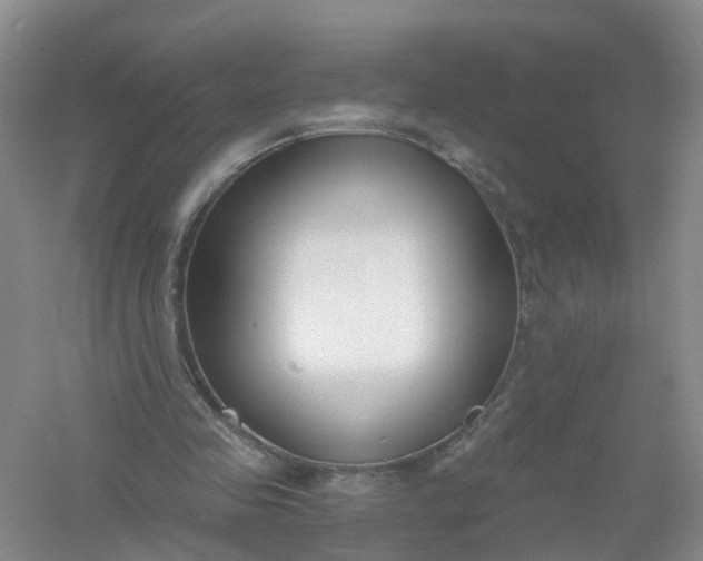 X0000061100341200512022104