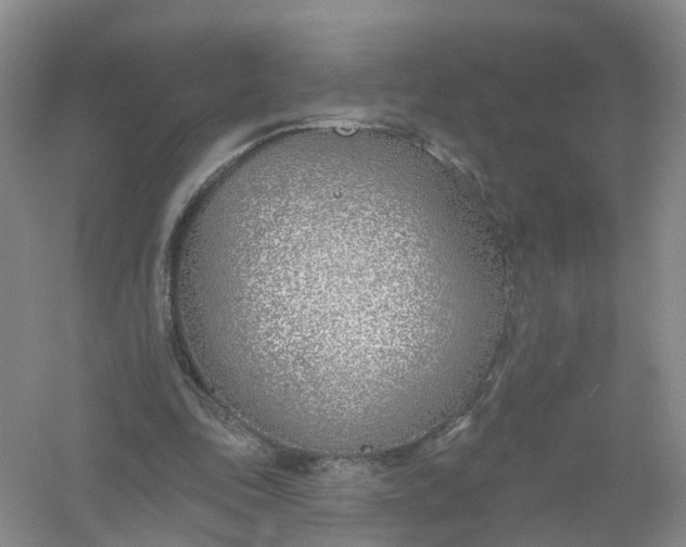 X0000061100343200512022105