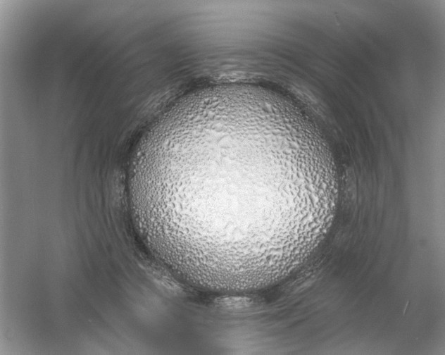 X0000061100361200512022105