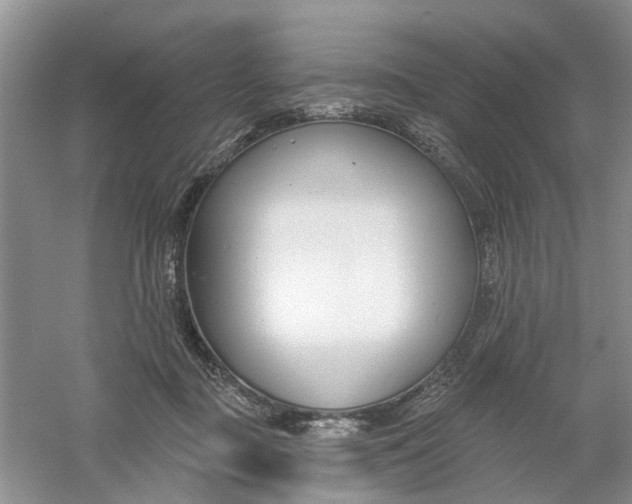 X0000061100363200512022105