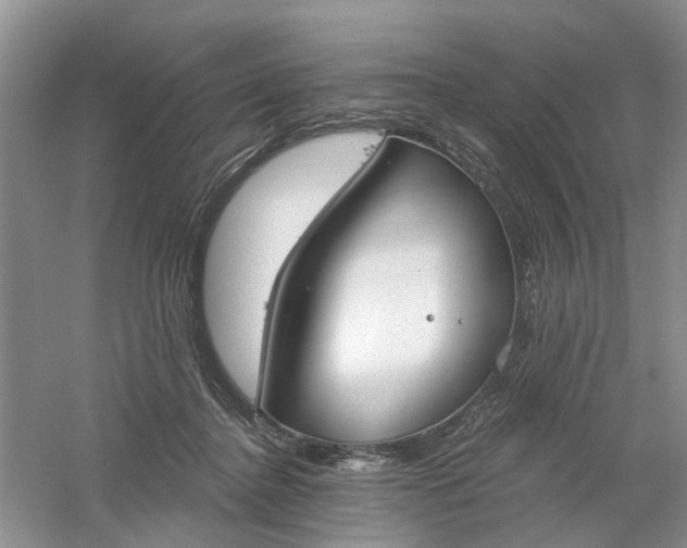 X0000061100364200512022105