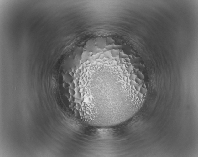 X0000061100371200512022105
