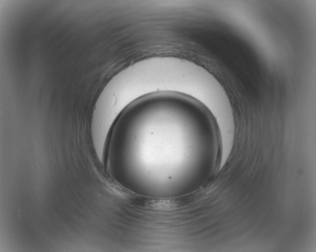 X0000061100383200512022105