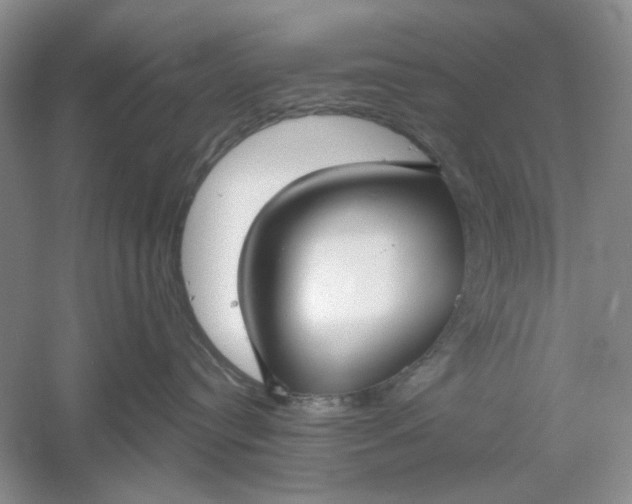 X0000061100384200512022105