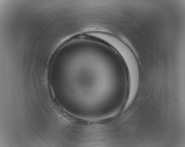 X0000061100387200512022104