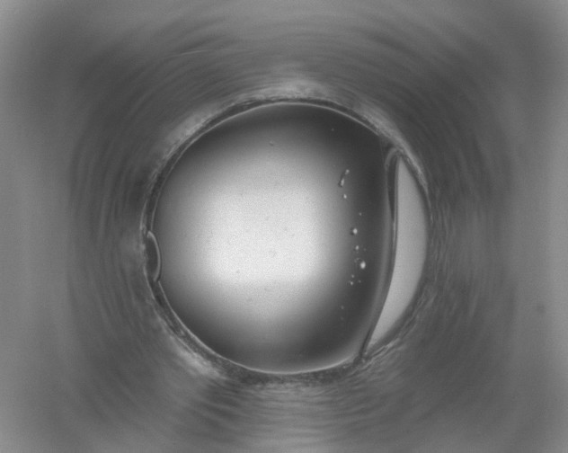 X0000061100389200512022104