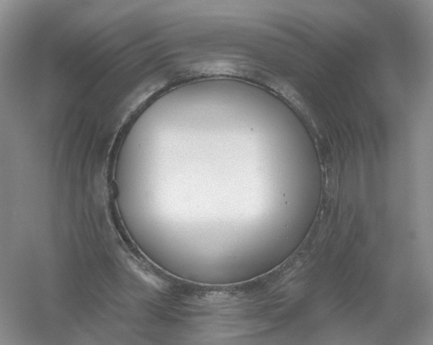 X0000061100390200512022104