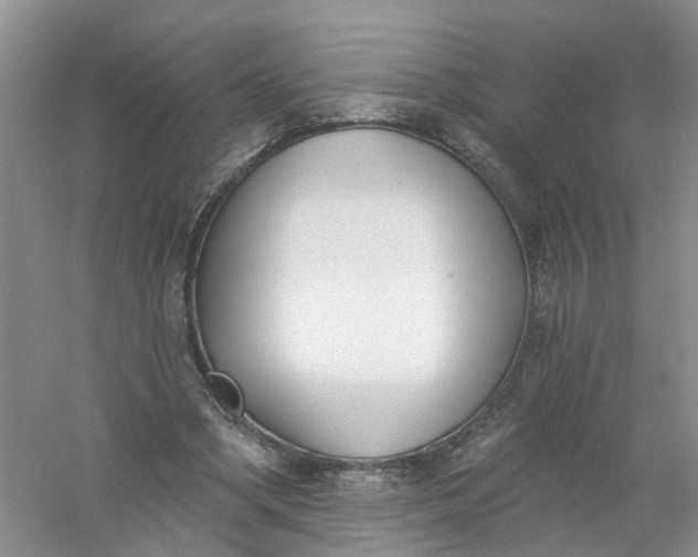 X0000061100394200512022104