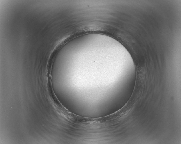 X0000061100395200512022104