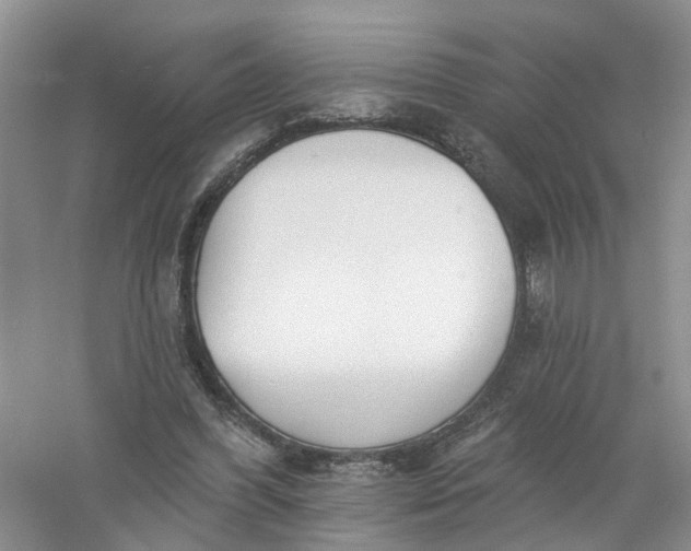 X0000061100396200512022104