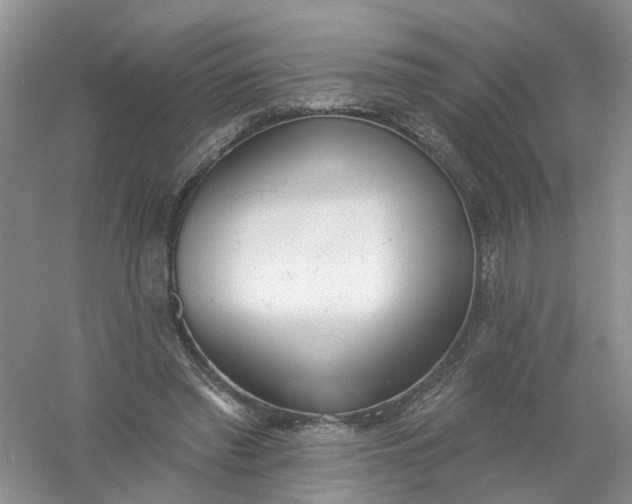 X0000061100397200512022104