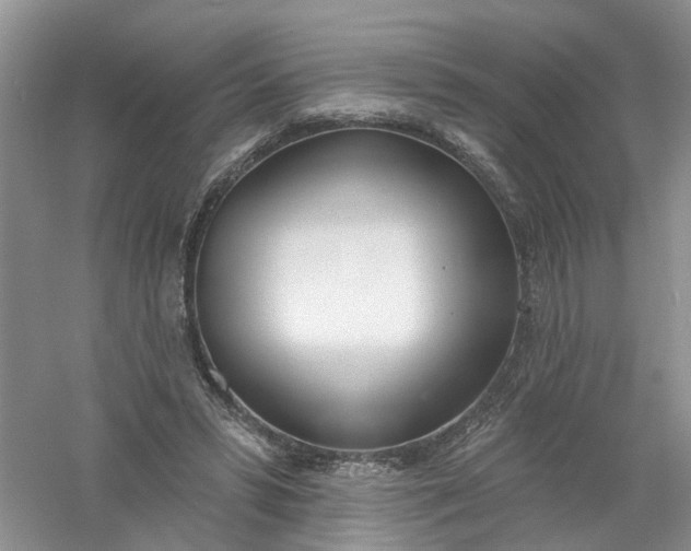 X0000061100399200512022104