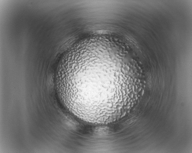 X0000061100410200512022104